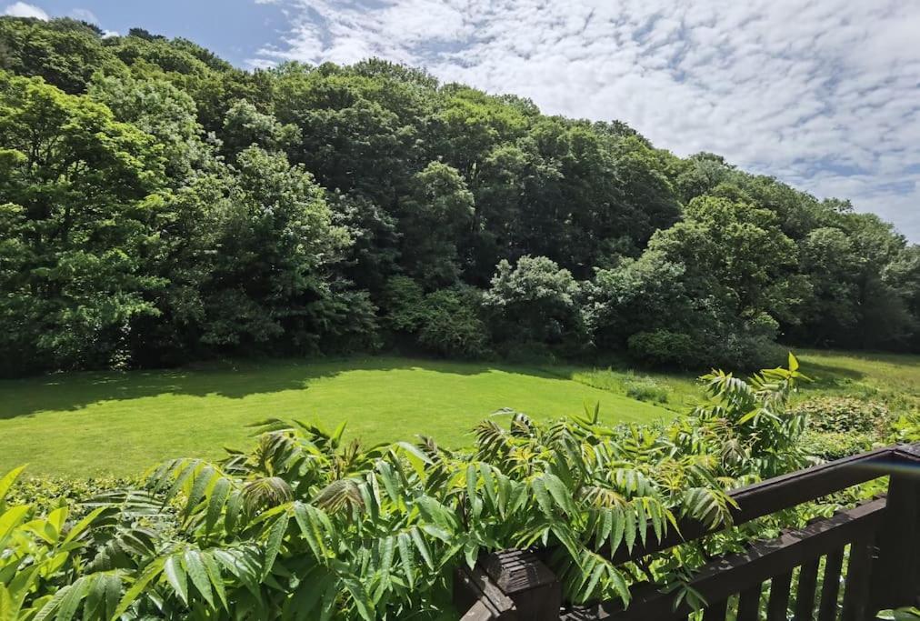 Kallowen Cottage At Crackington Haven, Near Bude And Boscastle, Cornwall Exterior foto